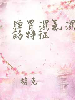 脾胃湿气湿热重的特征