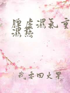 脾虚湿气重肝胆湿热