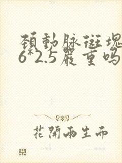 颈动脉斑块9.6*2.5严重吗