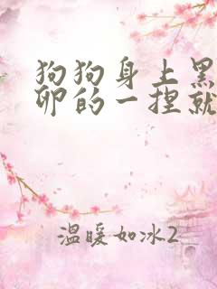 狗狗身上黑色虫卵的一捏就爆