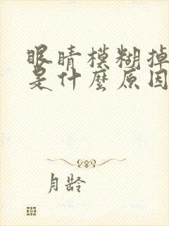 眼睛模糊掉眼泪是什么原因