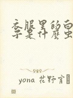 衣服里的白色虫子是什么虫