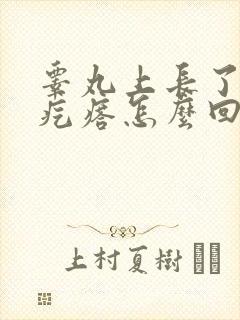 睾丸上长了一个疙瘩怎么回事