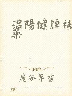 温阳健脾祛湿中药