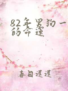 82年男狗一生的命运