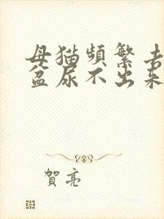 母猫频繁去猫砂盆尿不出来