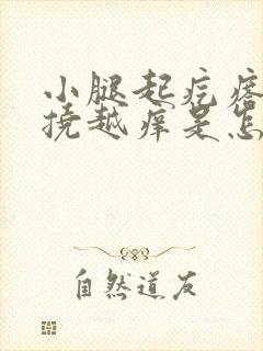 小腿起疙瘩痒越挠越痒是怎么回事