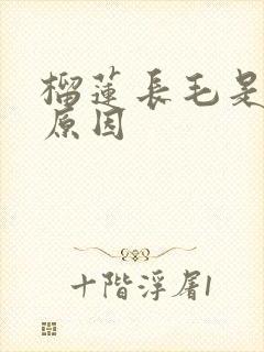 榴莲长毛是什么原因