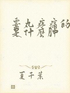 睾丸疼痛的原因是什么肿