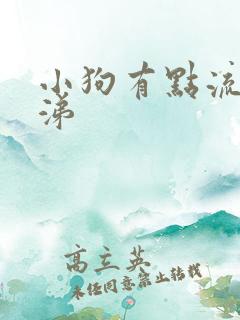 小狗有点流黄鼻涕