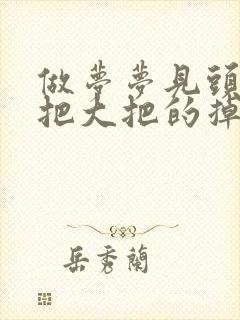 做梦梦见头发大把大把的掉是怎么回事