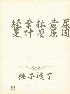 经常拉黄尿又臭是什么原因