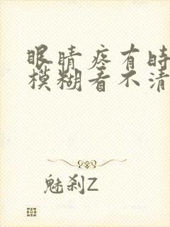 眼睛疼有时候还模糊看不清楚东西