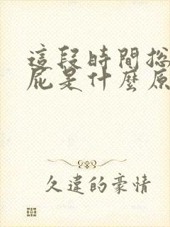 这段时间总是放屁是什么原因