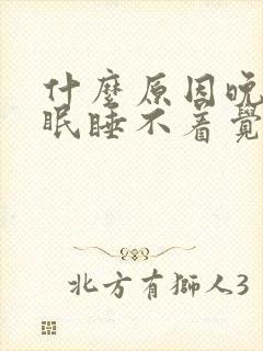 什么原因晚上失眠睡不着觉