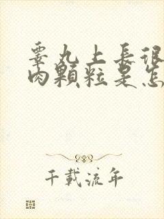 睾丸上长很多小肉颗粒是怎么回事