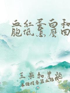 血红蛋白和红细胞低怎么回事