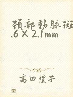 颈部动脉斑块9.6×2.1mm