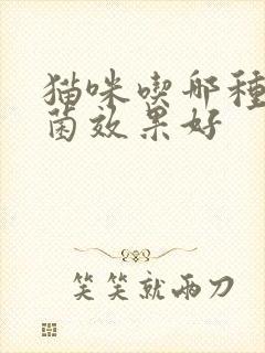 猫咪吃哪种益生菌效果好