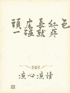 头皮长红色疙瘩一碰就疼