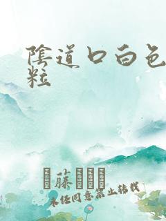 阴道口白色小肉粒