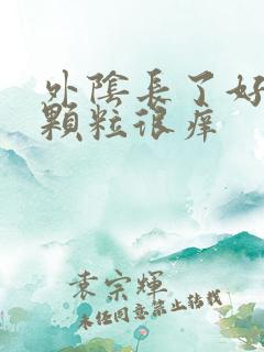 外阴长了好多小颗粒很痒