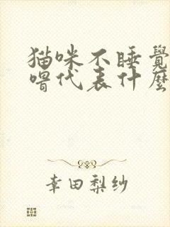 猫咪不睡觉打呼噜代表什么