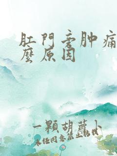 肛门旁肿痛是什么原因