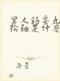 男人的睾丸下垂松弛是什么原因