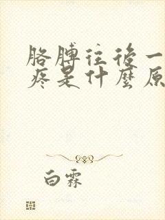 胳膊往后一伸就疼是什么原因