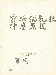 宠物猫乱拉尿是什么原因