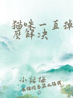 猫咪一直掉毛怎么解决