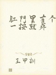 肛门里有个肿块一按就疼