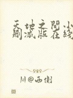 天地之间小说无删减版在线阅读