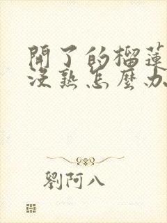 开了的榴莲果肉没熟怎么办