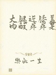 大腿近膝盖的肌肉酸疼疼是怎么回事