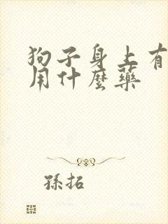 狗子身上有蜱虫用什么药