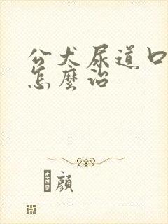 公犬尿道口黄脓怎么治