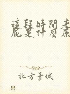 这段时间老是放屁是什么原因引起的