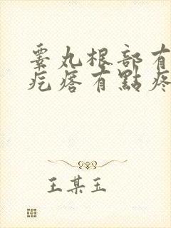 睾丸根部有个小疙瘩有点疼