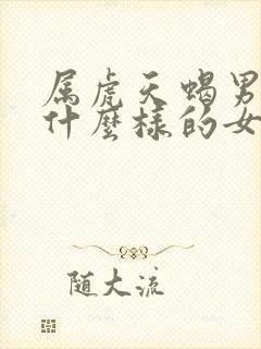 属虎天蝎男喜欢什么样的女人