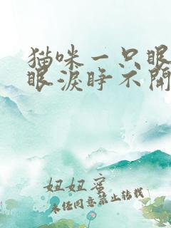 猫咪一只眼睛流眼泪睁不开是怎么回事