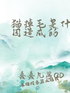 猫掉毛是什么原因造成的