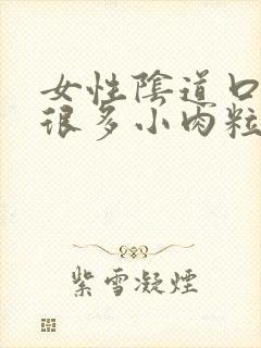 女性阴道口起了很多小肉粒