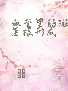 血管里的斑块是怎样形成