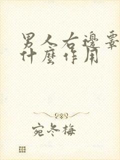 男人右边睾丸是什么作用