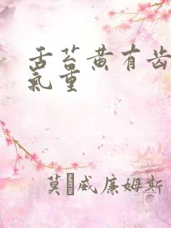 舌苔黄有齿痕湿气重