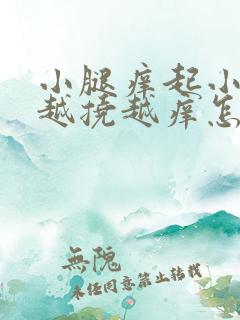 小腿痒起小疙瘩越挠越痒怎么回事