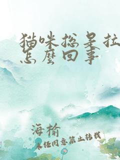 猫咪总是拉软便怎么回事