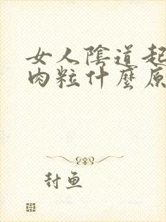 女人阴道起红色肉粒什么原因